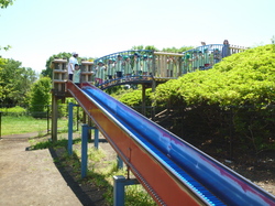 j 726.jpg